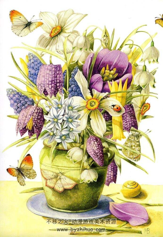 手绘花卉植物合集    可以提取不同花朵或其配色等