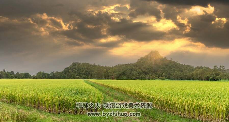 【风景素材】农田 耕田 田野 耕地