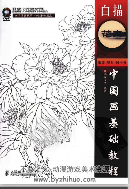 中国画基础教程  白描花卉