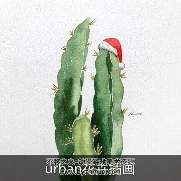 urban花卉插画