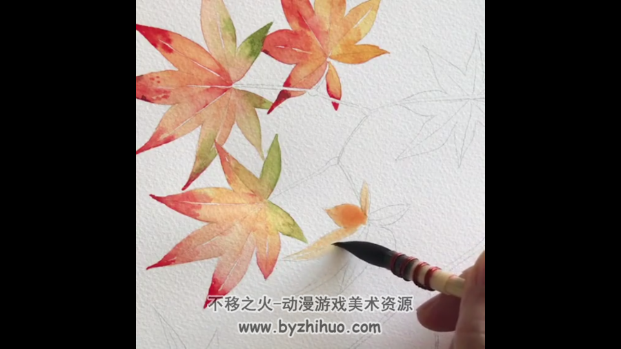 urban花卉插画