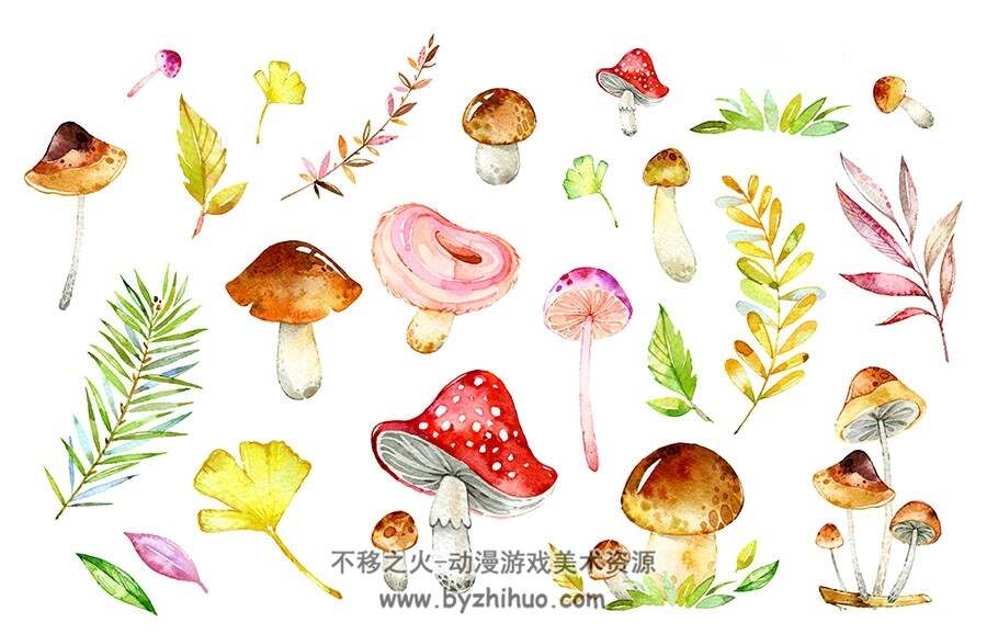 蘑菇花草美术绘画素材分享赏析参考