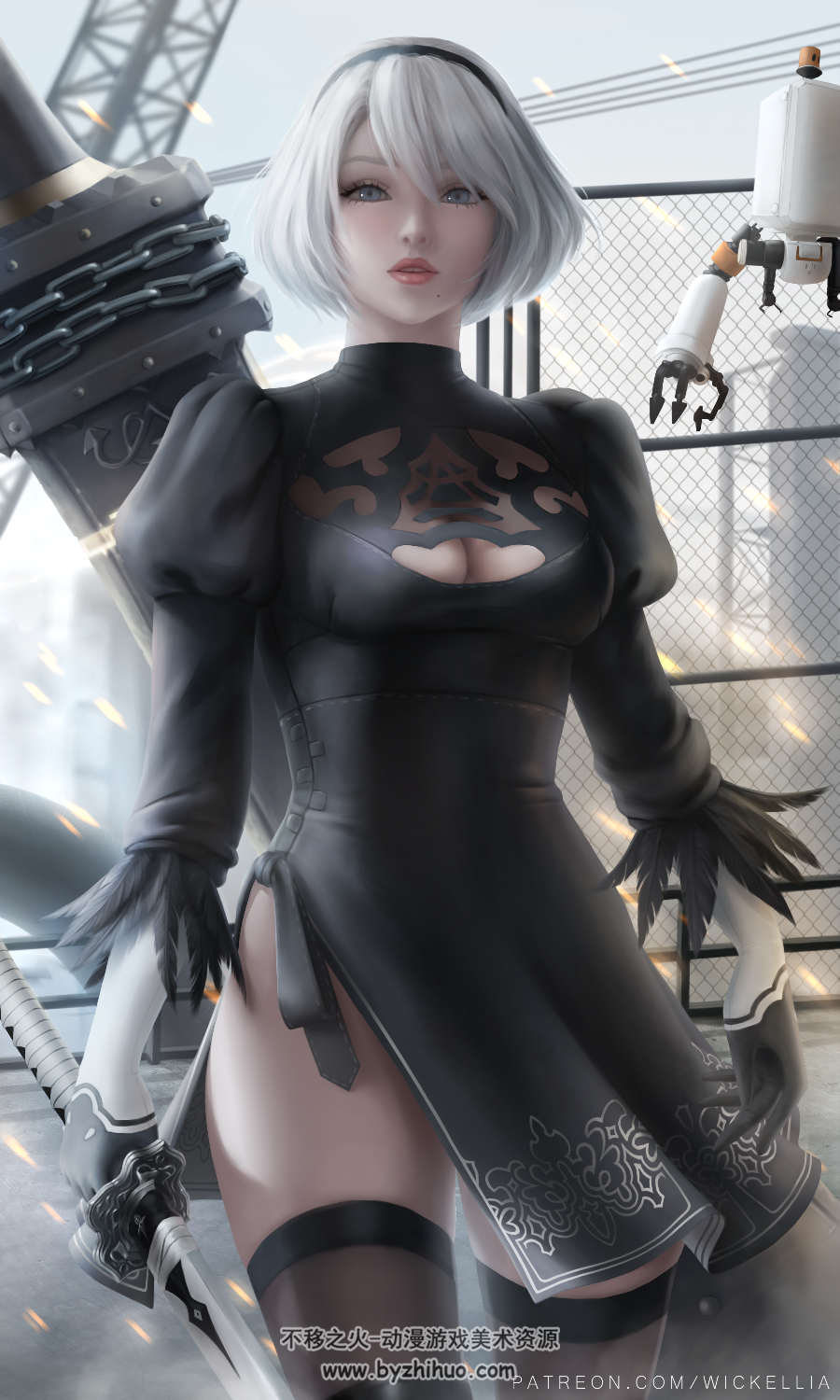 wickellie合集（注意事项:3.4.5.6.13.14期不是z规图片）