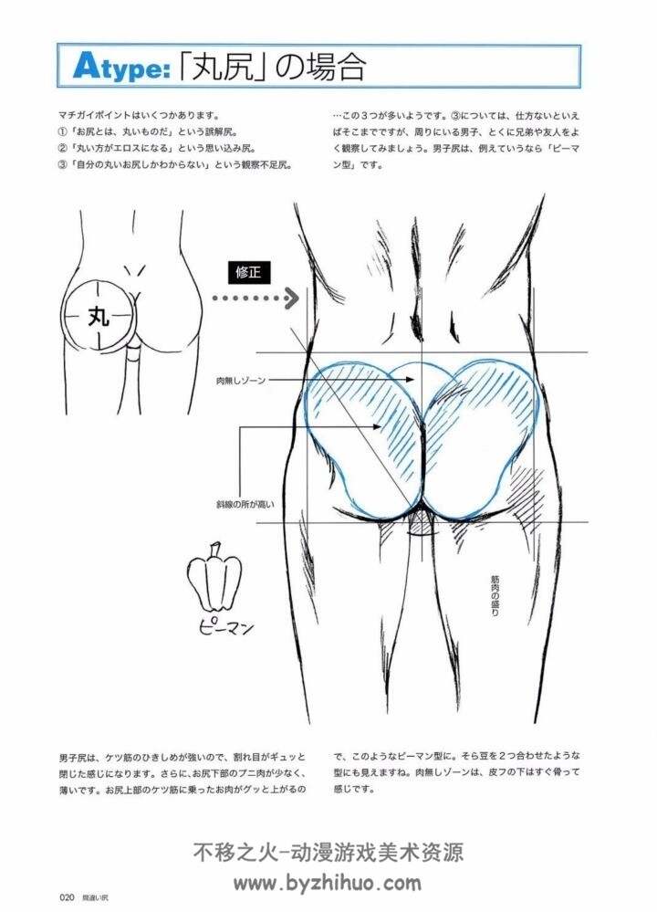 男子臀部的画法チカライヌ 百度网盘分享PDF格式观看
