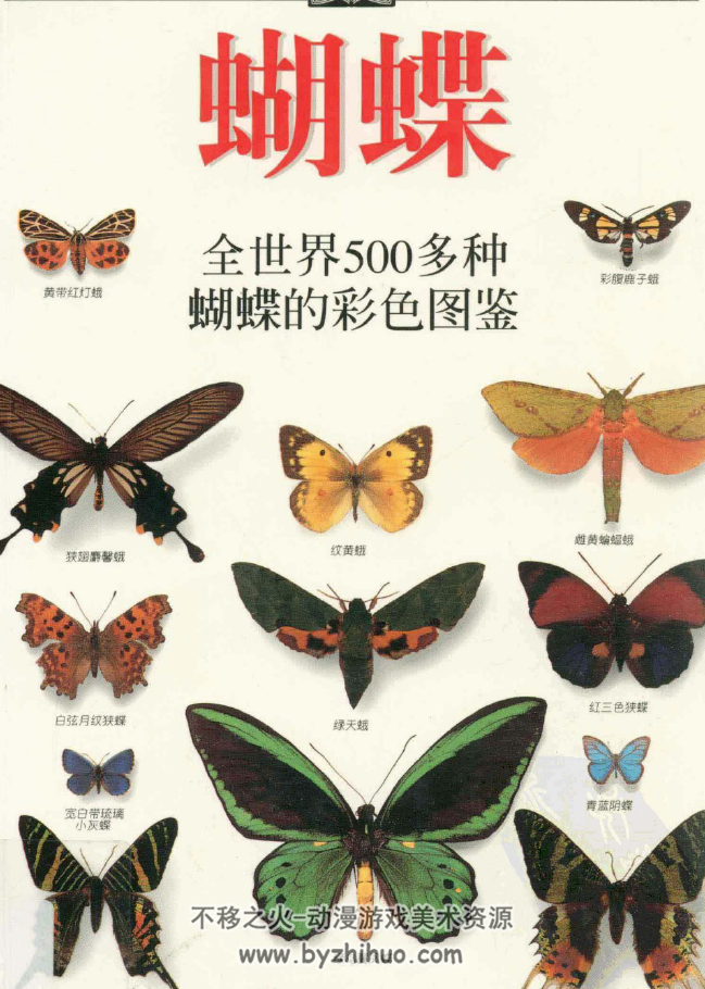 全世界500多种蝴蝶的彩色图鉴