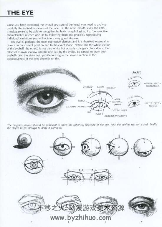 肖像绘画的艺术 面部和人物(英文)The Art Of Drawing-Drawing Portraits_66P