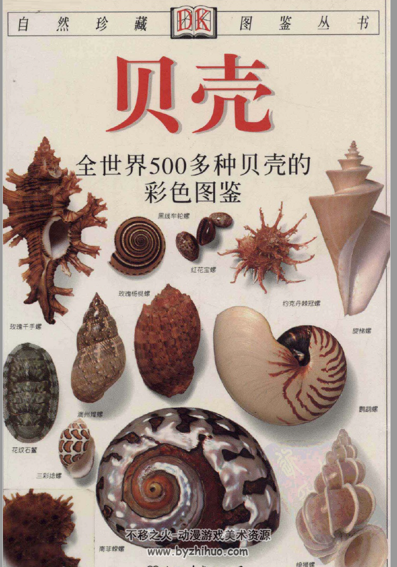 自然珍藏图鉴丛书·贝壳 全世界500多种贝壳的彩色图鉴 PDF格式分享观看