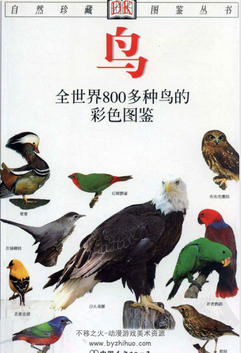自然珍藏图鉴丛书·鸟 全世界800多种鸟的彩色图鉴PDF分享观看