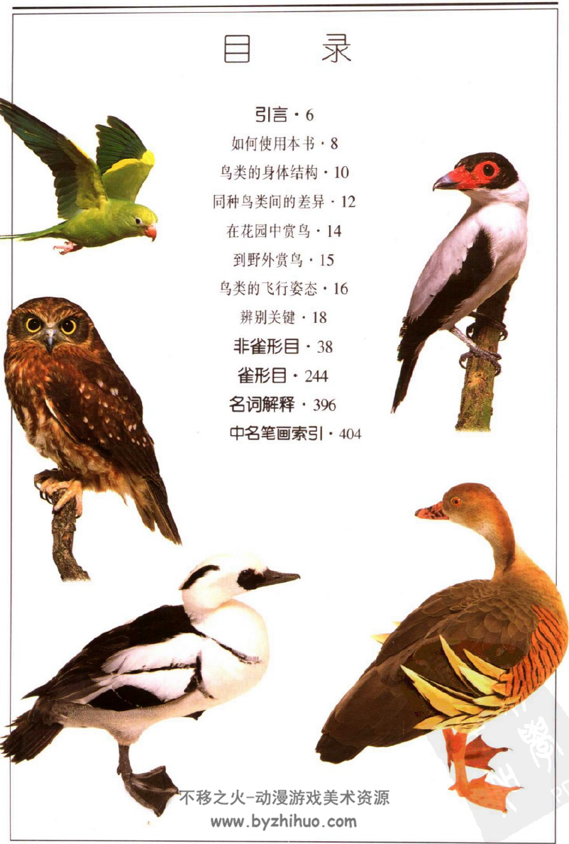 自然珍藏图鉴丛书·鸟 全世界800多种鸟的彩色图鉴PDF分享观看