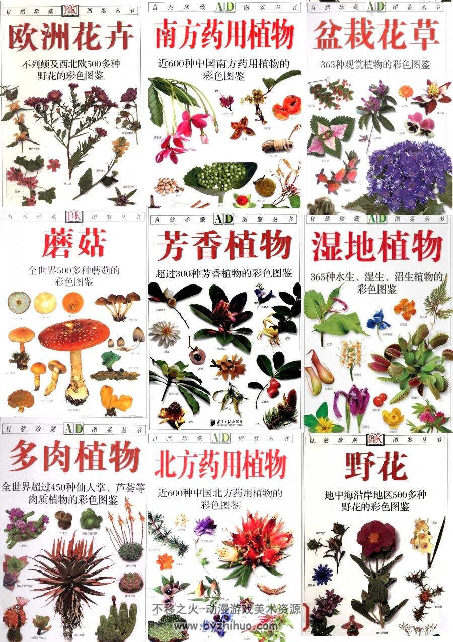 自然珍藏图鉴丛书 DK植物图鉴（14本合集）PDF格式分享观看