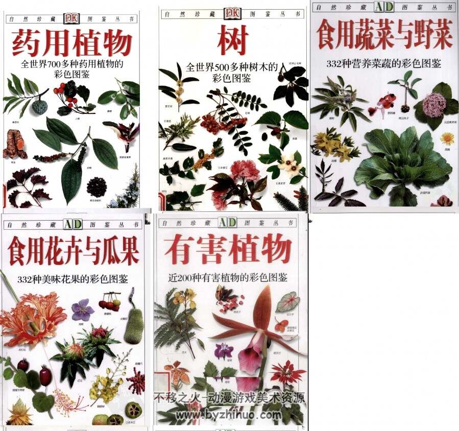自然珍藏图鉴丛书 DK植物图鉴（14本合集）PDF格式分享观看