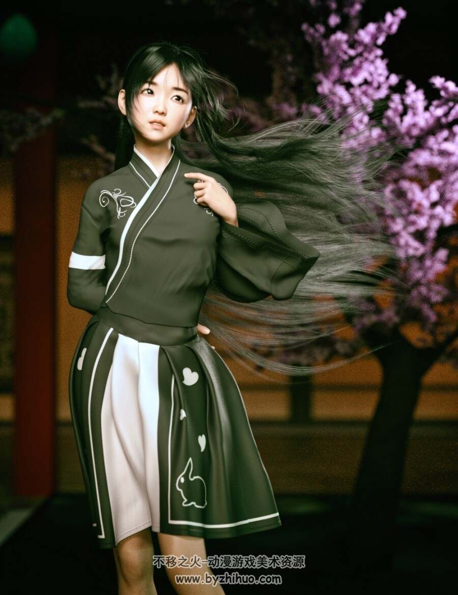 Hashimoto Character and Hair for G8F Daz stdio模型