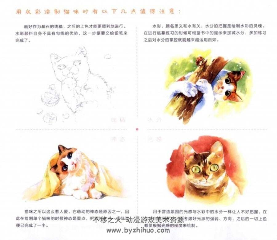 水彩猫咪绘 pdf格式分享 百度网盘下载