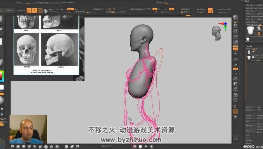 女性人体结构解剖学艺术课程【建模必备】 - Female anatomy for artists course