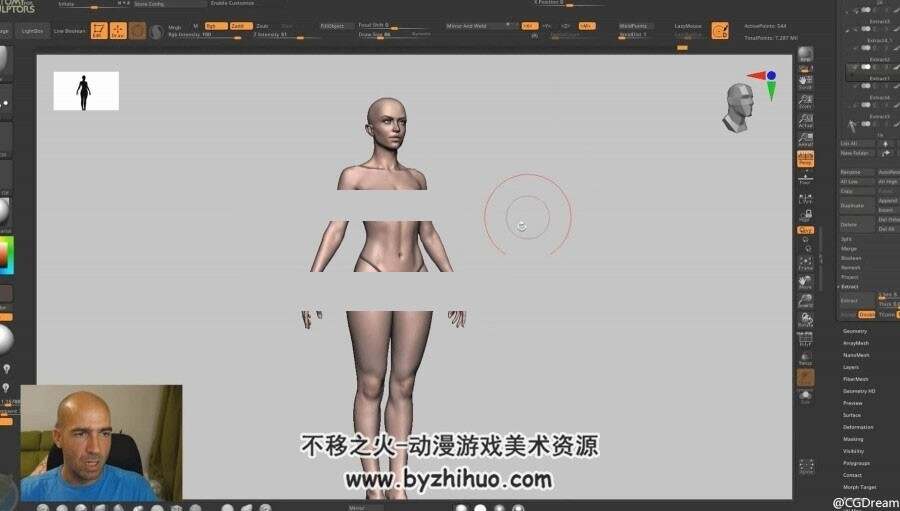 女性人体结构解剖学艺术课程【建模必备】 - Female anatomy for artists course