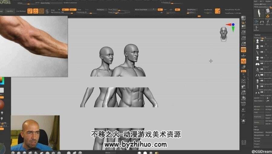 女性人体结构解剖学艺术课程【建模必备】 - Female anatomy for artists course