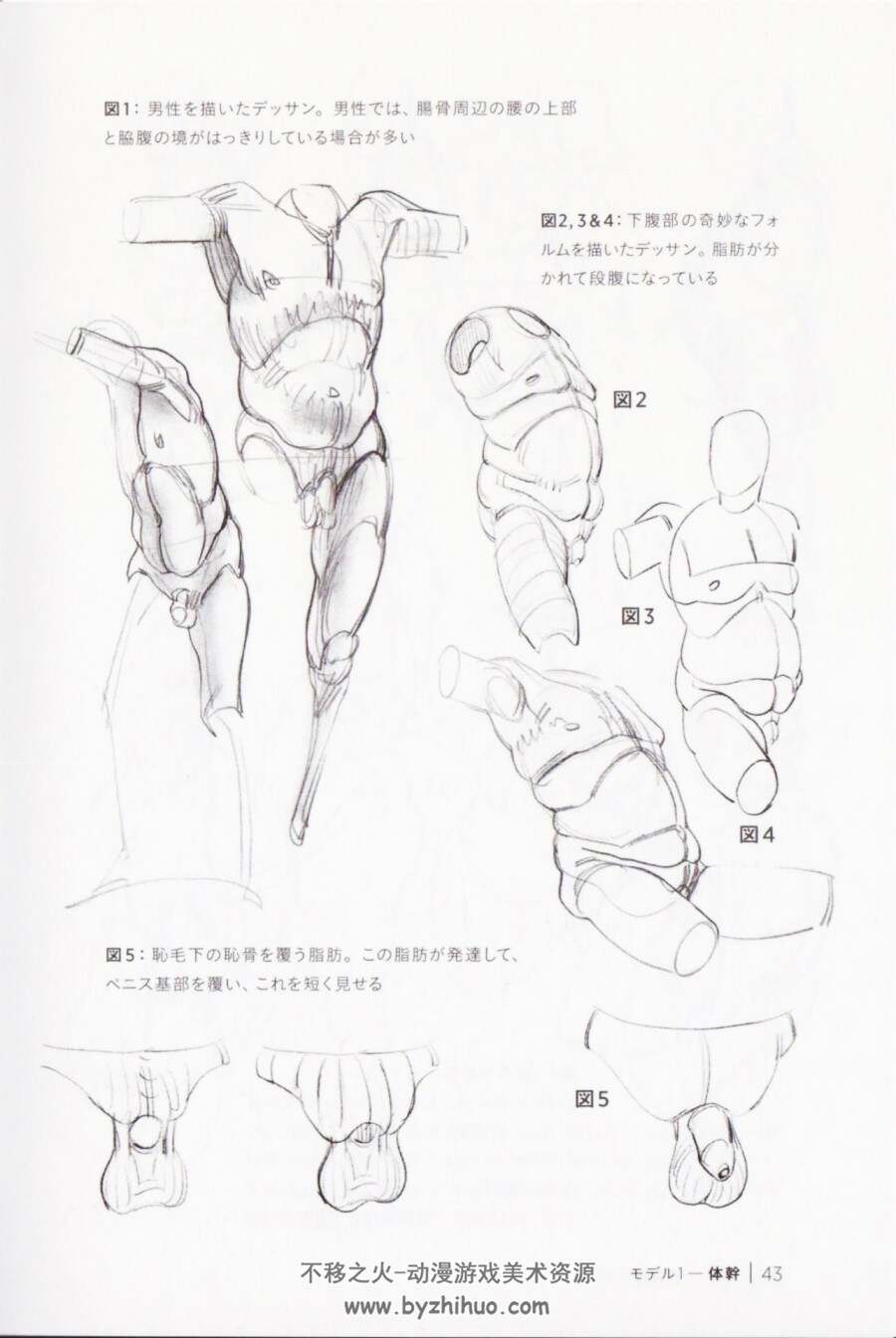 用脂肪来画morpho人体素描  脂肪とシワを描く JPG格式百度网盘下载观看 99P