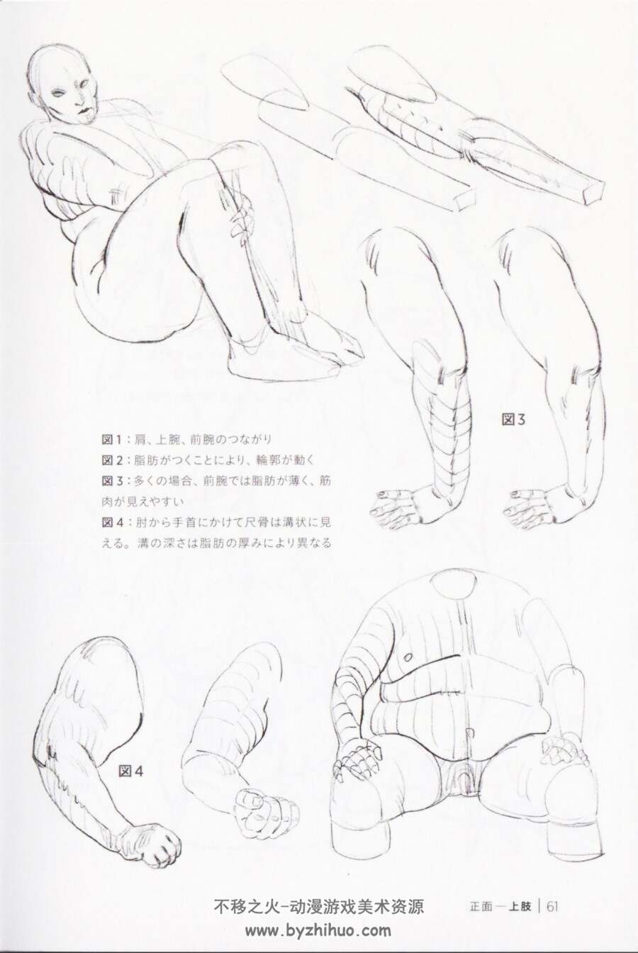 用脂肪来画morpho人体素描  脂肪とシワを描く JPG格式百度网盘下载观看 99P