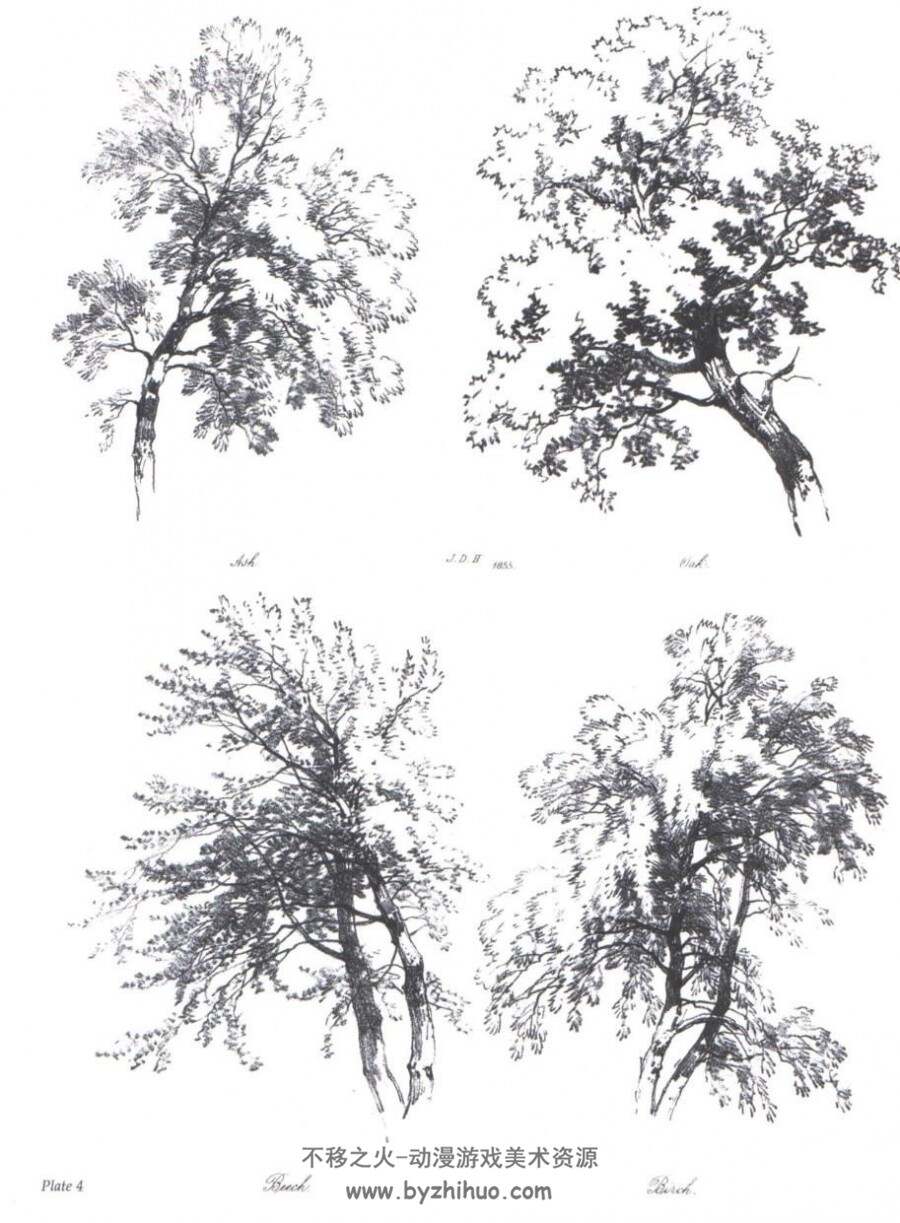 树木的素描书 On Draning Trees And Nature PDF格式观看