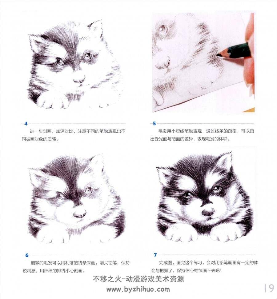 色铅笔之萌宠爱犬PDF格式百度网盘分享