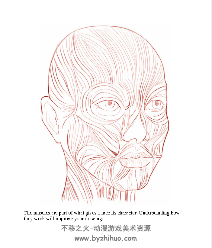 Pocket Art: Portrait Drawing 快速掌握肖像绘画的技巧 PDF格式分享观看