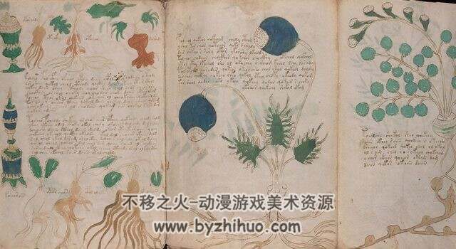 Voynich manuscript （伏尼契手稿）百度网盘PDF格式观看 206P