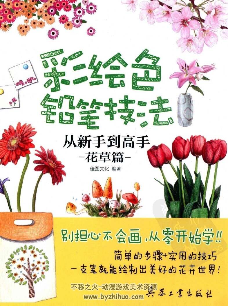 彩绘色铅笔技法从新手到高手 花草篇PDF格式百度网盘分享观看