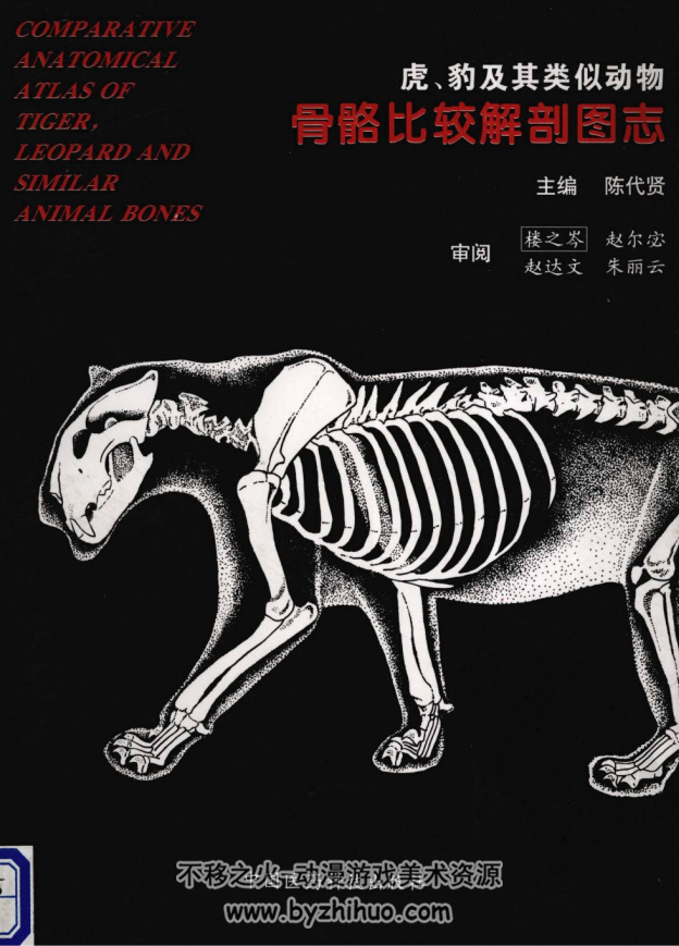 虎 豹及其类似动物骨骼比较解剖图志 pdf格式观看 265P