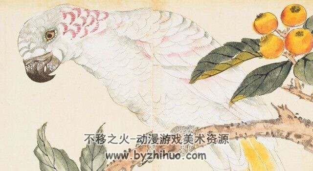 百花鸟图 清 雍正时期绘本 PDF格式赏析