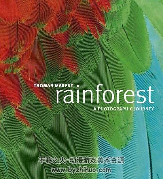 DK Rainforest 2010 雨林 百度网盘PDF分享观看