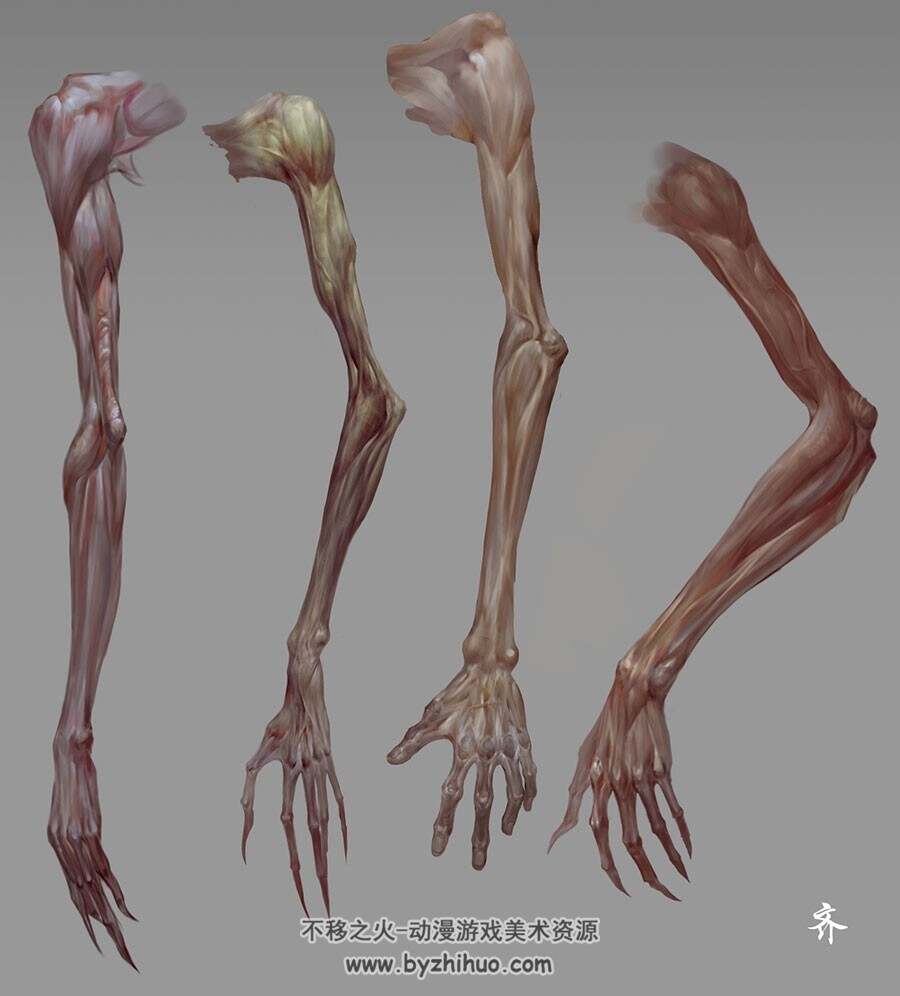 人体解剖男女肌肉骨骼 艺用美术绘画资料图集 百度网盘下载参考 5393P 1.23GB