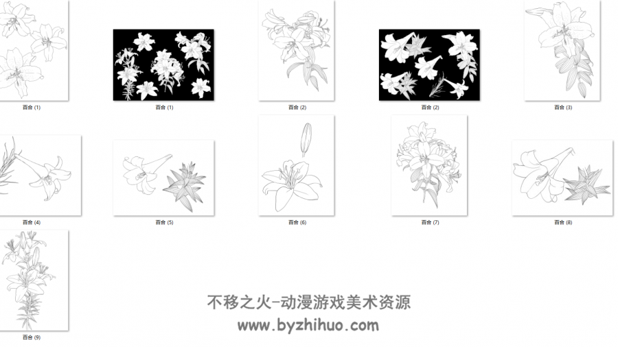 各类花卉线稿+上色图集 美术绘画素材百度网盘分享参考 400P