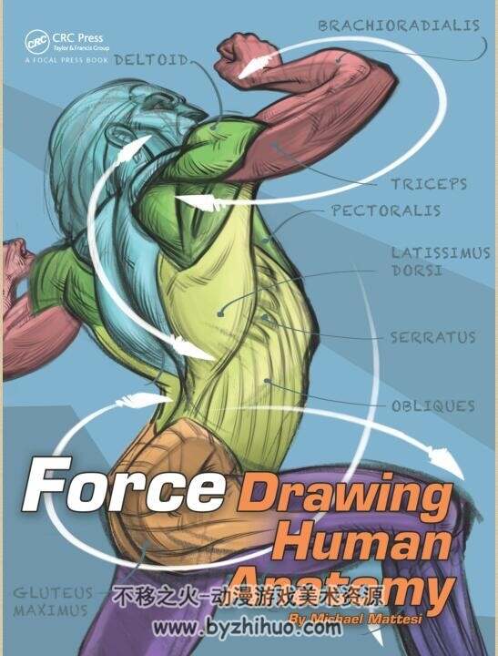画出力的表现 Force.  Drawing Human Anatomy ( 含有简化骨骼) PDF格式