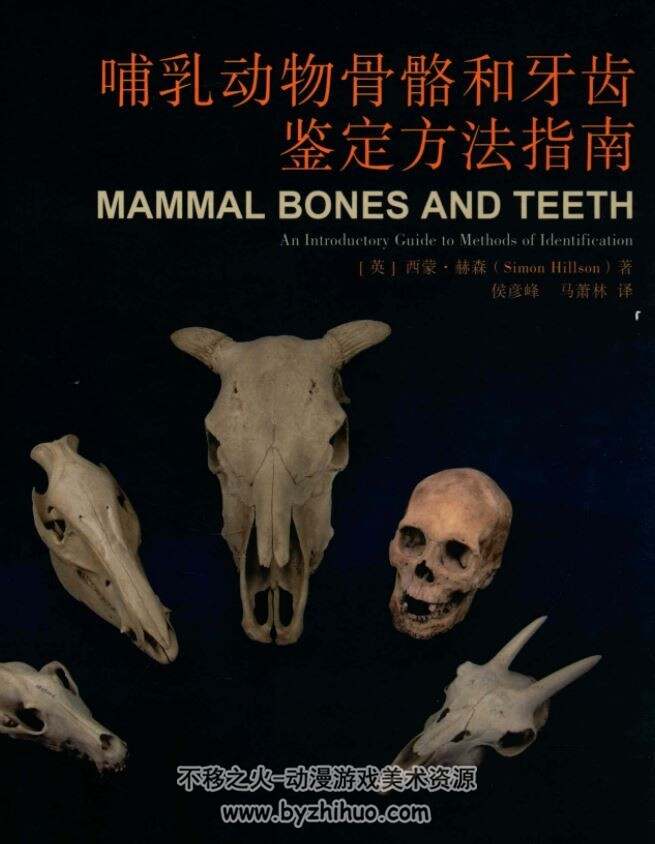哺乳动物骨骼和牙齿鉴定方法指南 百度网盘PDF格式下载