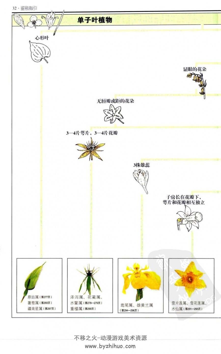 欧洲花卉：不列颠及西北欧500多种野花的彩色图鉴 俞鸣铗.全彩版.pdf格式