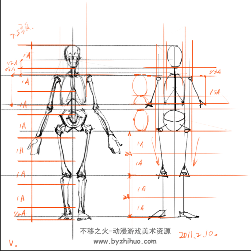 绘画专用人体解剖系列 美术绘画素材集 百度网盘 302P