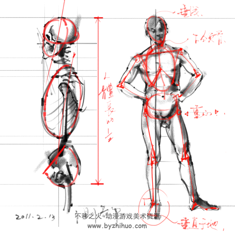 绘画专用人体解剖系列 美术绘画素材集 百度网盘 302P