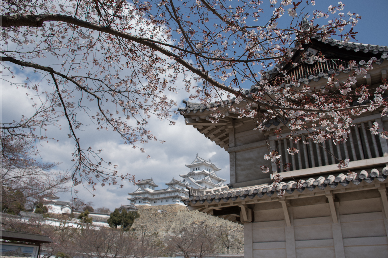 日本城市建筑寺庙 自然风景高清写真作品赏析 300P