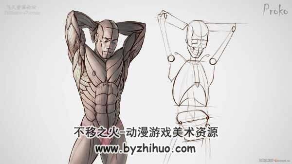 proko人体基础+人体解剖+中文课程+肖像课程+模特资源+软件 （大合集)）