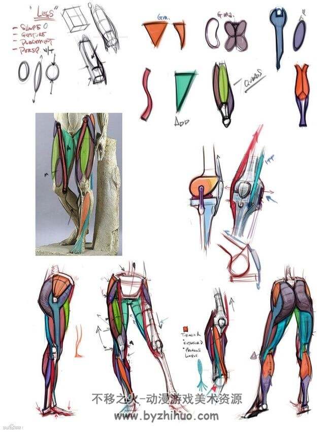 迈克尔汉普顿人体艺用解剖原版视频 大师人体结构视频教程 百度网盘