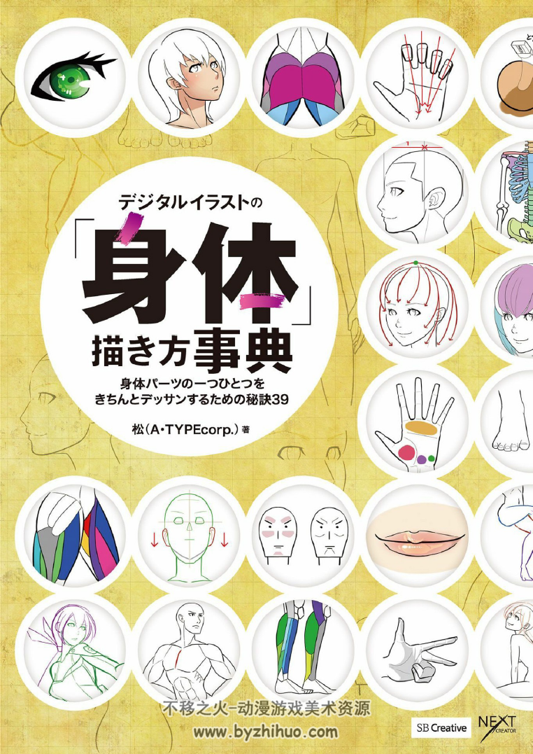 数码插画的身体描绘方法事典 PDF格式 百度网盘下载
