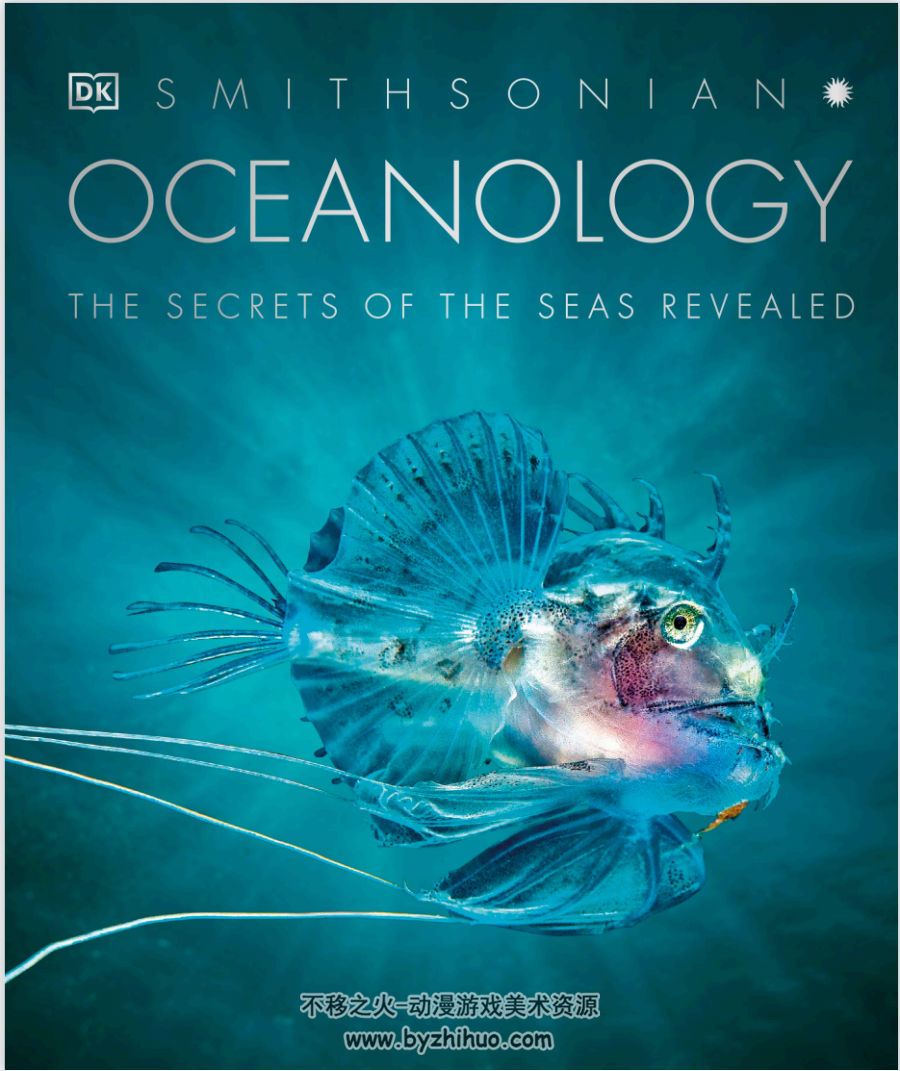 oceanology 海洋学-the secrets of the seas revealed PDF下载观看