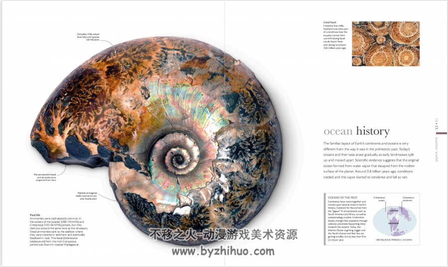 oceanology 海洋学-the secrets of the seas revealed PDF下载观看