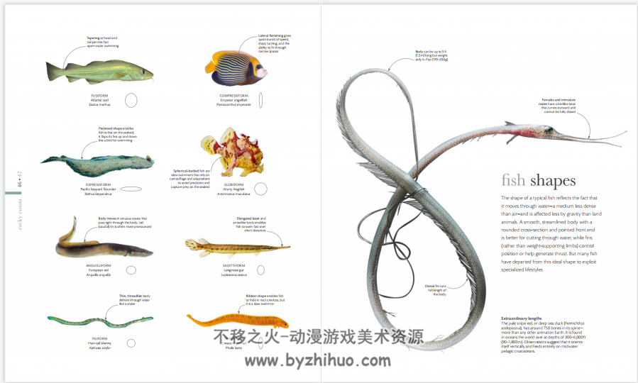 oceanology 海洋学-the secrets of the seas revealed PDF下载观看