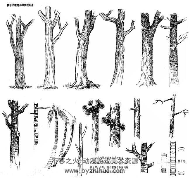 多种树木素材图片 美术素材 百度网盘下载 170P