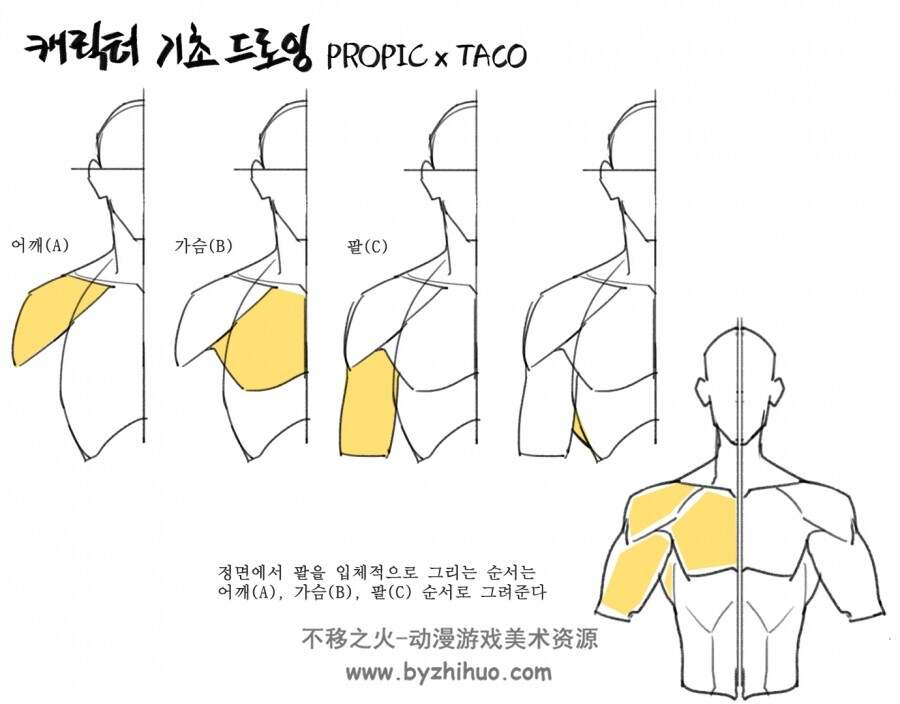 【不定期更新】人体基础教程-画师타코작가  百度网盘下载