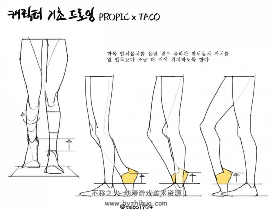 【不定期更新】人体基础教程-画师타코작가  百度网盘下载