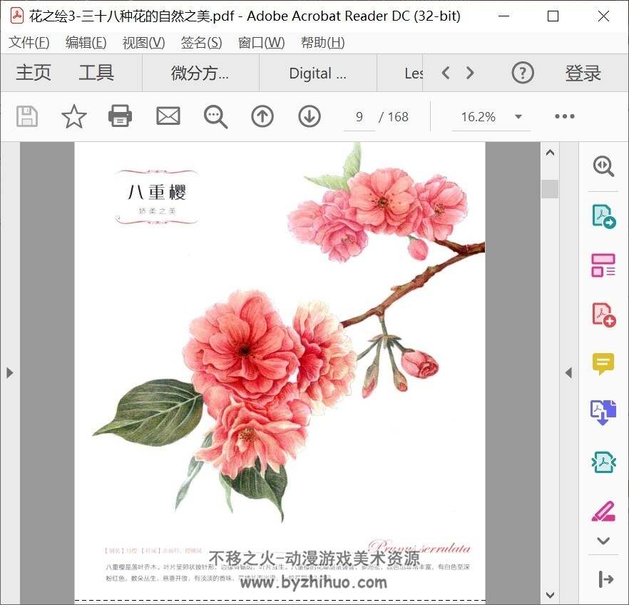花之绘3 三十八种花的自然之美 PDF格式 百度网盘下载