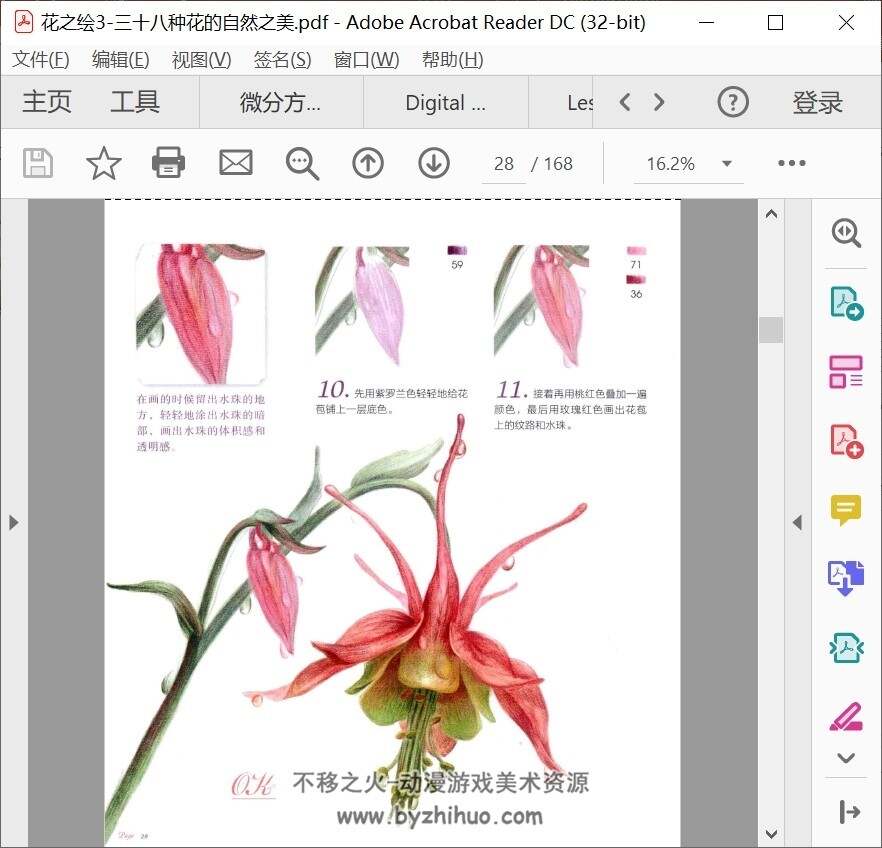 花之绘3 三十八种花的自然之美 PDF格式 百度网盘下载