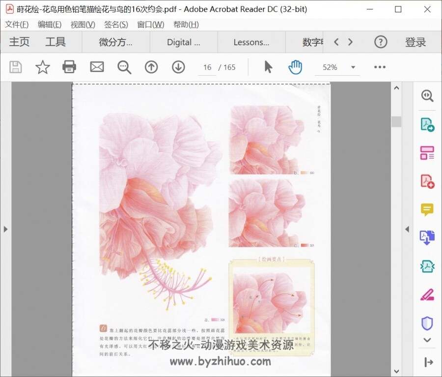 莳花绘-花鸟用色铅笔描绘花与鸟的16次约会 PDF格式 百度网盘下载